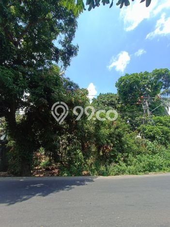 Tanah Kavling Dijual di Pacung, Buleleng dengan Luas Tanah 385m2 Tanah Kavling Dijual di Pacung, Buleleng dengan Luas Tanah 385m2