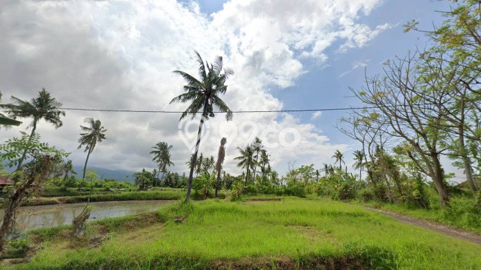 Tanah Kavling Dijual di Panji, Buleleng dengan Luas Tanah 400m2 Tanah Kavling Dijual di Panji, Buleleng dengan Luas Tanah 400m2