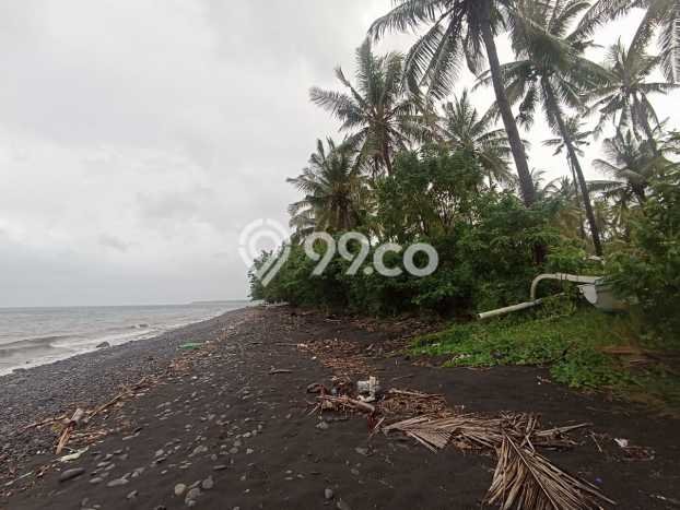 Tanah Kavling Dijual di Buleleng dengan Spesifikasi 32800m2 Tanah Kavling Dijual di Buleleng dengan Spesifikasi 32800m2