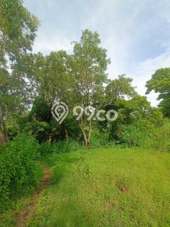 Kavling Tanah Dijual di Tulamben Karangasem Spesifikasi 1300m2 Kavling Tanah Dijual di Tulamben Karangasem Spesifikasi 1300m2