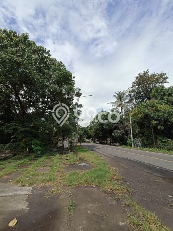 Tanah Kavling Dijual di Buleleng dengan Spesifikasi 265m2 Tanah Kavling Dijual di Buleleng dengan Spesifikasi 265m2