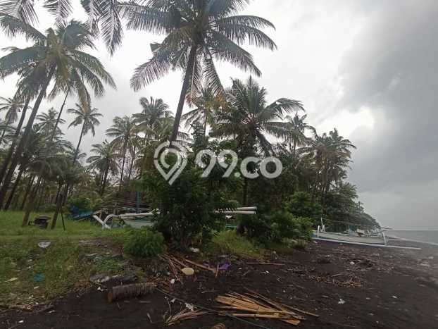 Tanah Kavling Dijual di Buleleng dengan Spesifikasi 32800m2 Tanah Kavling Dijual di Buleleng dengan Spesifikasi 32800m2