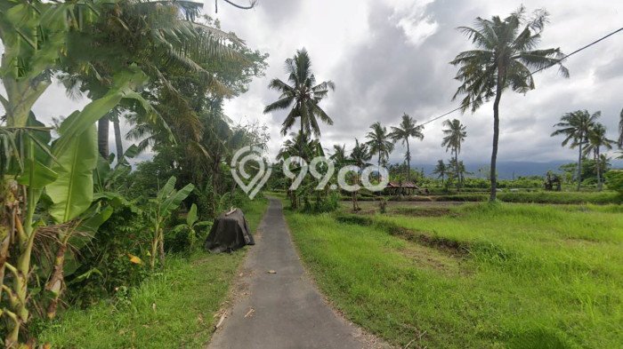 Tanah Kavling Dijual di Panji, Buleleng dengan Luas Tanah 400m2 Tanah Kavling Dijual di Panji, Buleleng dengan Luas Tanah 400m2