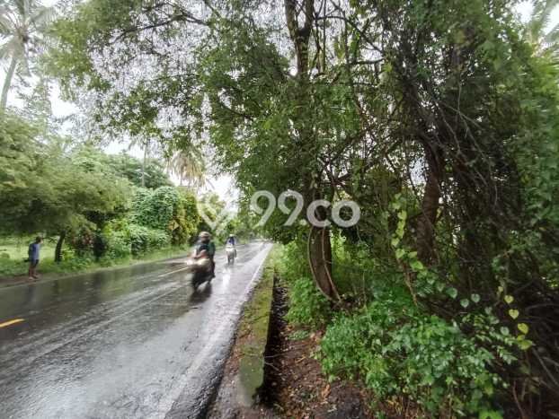 Tanah Kavling Dijual di Buleleng dengan Spesifikasi 32800m2 Tanah Kavling Dijual di Buleleng dengan Spesifikasi 32800m2