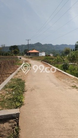 Kavling Tanah Dijual di Tanjungsari Bogor Spesifikasi 200m2 Kavling Tanah Dijual di Tanjungsari Bogor Spesifikasi 200m2