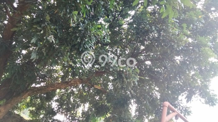 Hunian Super Elit dengan Akses Paling Strategis di Buah Batu, Bandung Hunian Super Elit dengan Akses Paling Strategis di Buah Batu, Bandung