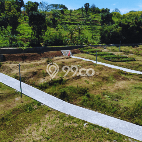 Kavling Tanah di Jatinangor Dijual Luas 115m2 Legalitas SHM Kavling Tanah di Jatinangor Dijual Luas 115m2 Legalitas SHM