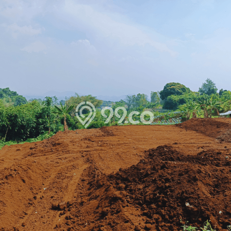 Lahan Investasi Lokasi Cimahi Utara Cimahi SHM Lahan Investasi Lokasi Cimahi Utara Cimahi SHM