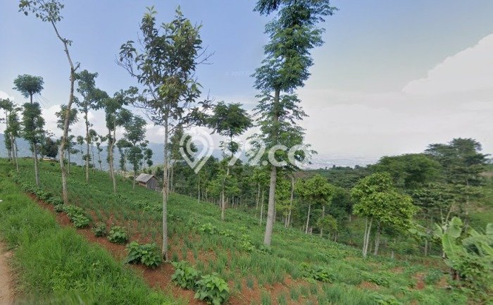 Lahan Dijual Lokasi Ciwidey, Bandung dengan Luas Tanah 23839m2 dan Status SHM Lahan Dijual Lokasi Ciwidey, Bandung dengan Luas Tanah 23839m2 dan Status SHM