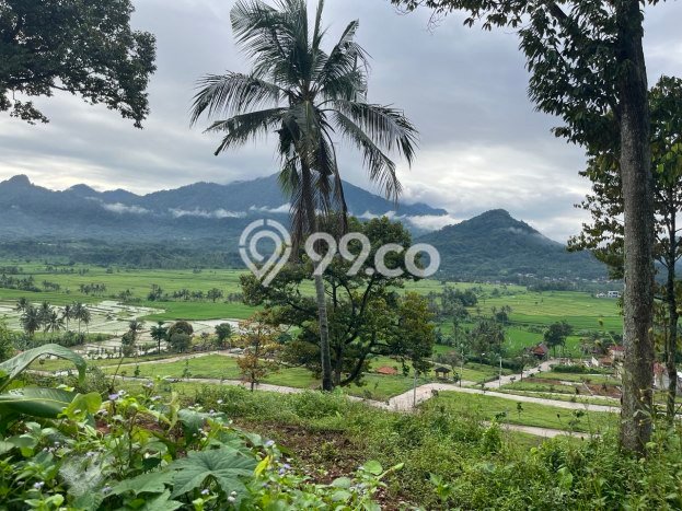 Tanah Dijual Lokasi Tanjungsari, Bogor Luas 100m2 Legalitas Aman Tanah Dijual Lokasi Tanjungsari, Bogor Luas 100m2 Legalitas Aman