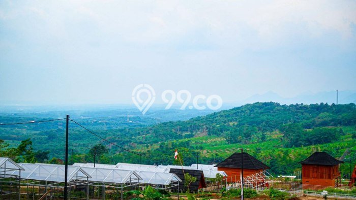Tanah Kavling untuk Dijual di Cariu Bogor 100m2 Tanah Kavling untuk Dijual di Cariu Bogor 100m2