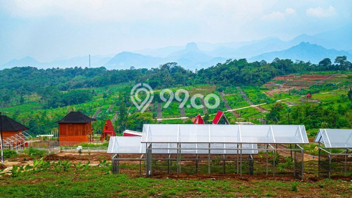 Tanah Kavling untuk Dijual di Cariu Bogor 100m2 Tanah Kavling untuk Dijual di Cariu Bogor 100m2