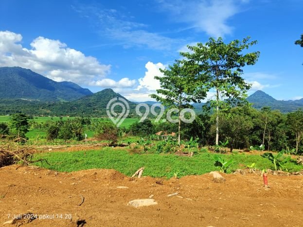 Tanah Dijual Lokasi Cibinong Bogor SHM Tanah Dijual Lokasi Cibinong Bogor SHM