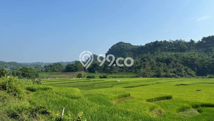 Tanah Dijual Lokasi Tanjungsari, Bogor Luas 100m2 Legalitas Aman Tanah Dijual Lokasi Tanjungsari, Bogor Luas 100m2 Legalitas Aman