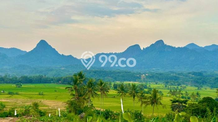 Tanah Kavling di Tanjungsari Dijual dengan Luas 400m2 Tanah Kavling di Tanjungsari Dijual dengan Luas 400m2