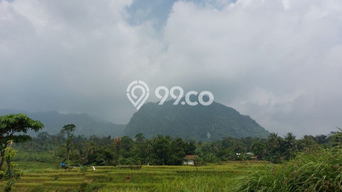Lahan Strategis di Sukamakmur Dijual dengan Luas 500m2 Lahan Strategis di Sukamakmur Dijual dengan Luas 500m2