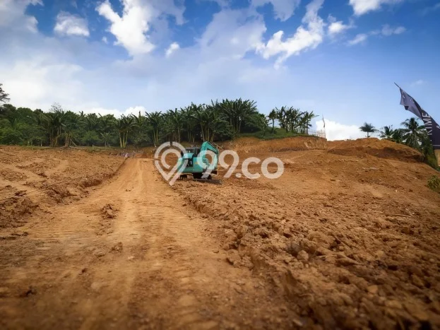 Jarang Ada! Tanah di Sukamakmur Punya Luas 100m2 SHM Jarang Ada! Tanah di Sukamakmur Punya Luas 100m2 SHM