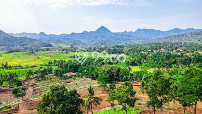 Tanah di Tanjungsari, Bogor Luas 100m2 Dijual Segera Tanah di Tanjungsari, Bogor Luas 100m2 Dijual Segera