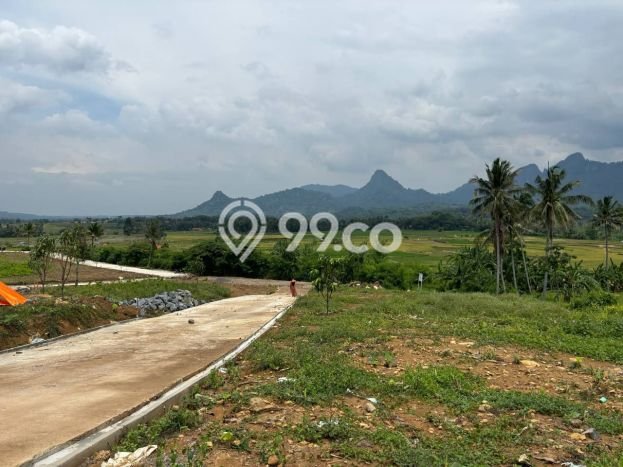 Lahan untuk Dijual Lokasi Tanjungsari, Bogor Luas 200m2 SHM Lahan untuk Dijual Lokasi Tanjungsari, Bogor Luas 200m2 SHM