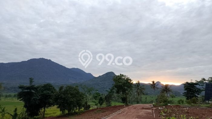 Lahan untuk Dijual Lokasi Tanjungsari, Bogor Luas 200m2 SHM Lahan untuk Dijual Lokasi Tanjungsari, Bogor Luas 200m2 SHM