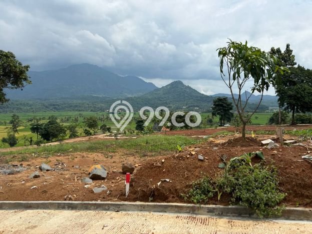 Lahan untuk Dijual Lokasi Tanjungsari, Bogor Luas 200m2 SHM Lahan untuk Dijual Lokasi Tanjungsari, Bogor Luas 200m2 SHM