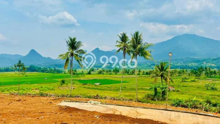 Jarang Ada! Tanah di Tanjungsari Punya Luas 400m2 SHM Jarang Ada! Tanah di Tanjungsari Punya Luas 400m2 SHM