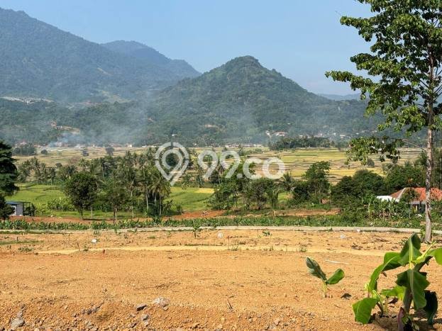 Tanah untuk Dijual Lokasi Tanjungsari, Bogor Luas 200m2 SHM Tanah untuk Dijual Lokasi Tanjungsari, Bogor Luas 200m2 SHM