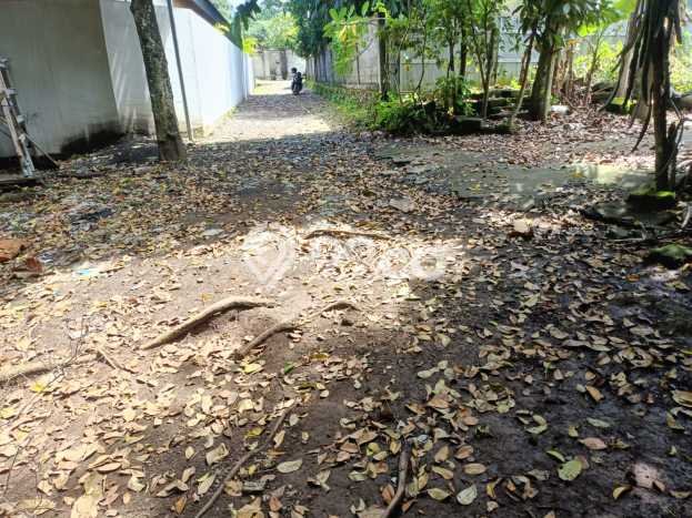 Tanah Kavling Dijual di Buwit, Tabanan dengan Luas Tanah 616m2 Tanah Kavling Dijual di Buwit, Tabanan dengan Luas Tanah 616m2