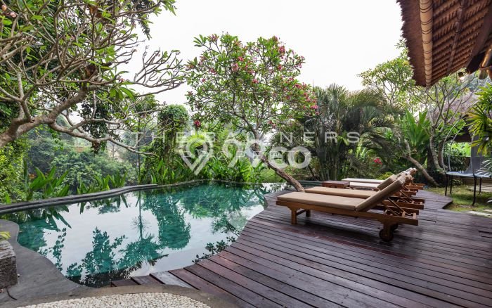 Rumah Luxury Modern Tanpa Renovasi di Kaba kaba Tabanan Rumah Luxury Modern Tanpa Renovasi di Kaba kaba Tabanan