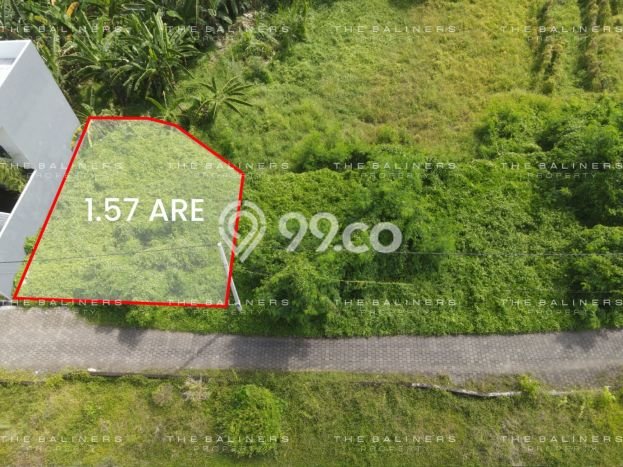 Tanah Investasi Dijual di Badung Punya Luas 157m2 Tanah Investasi Dijual di Badung Punya Luas 157m2
