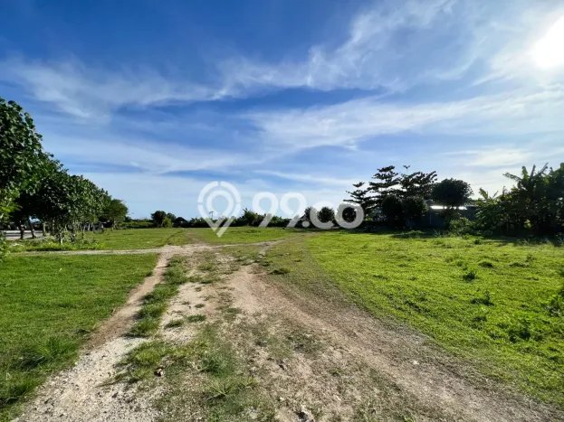 Tanah Investasi Dijual di Badung Punya Luas 4800m2 Tanah Investasi Dijual di Badung Punya Luas 4800m2