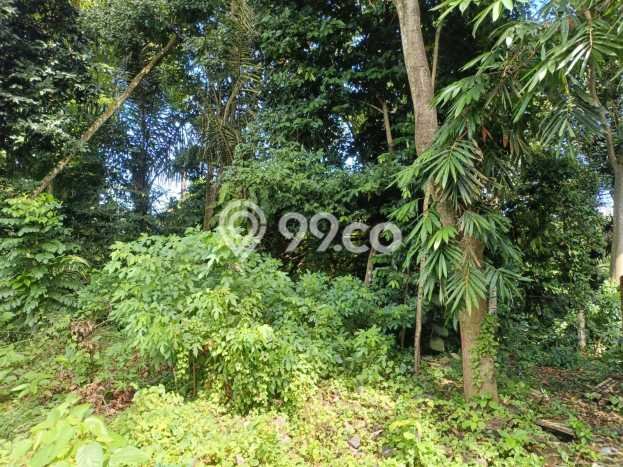 Tanah Kavling Dijual di Buwit, Tabanan dengan Luas Tanah 616m2 Tanah Kavling Dijual di Buwit, Tabanan dengan Luas Tanah 616m2