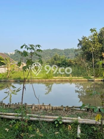 Jarang Ada! Tanah di Bogor Barat Punya Luas 2036m2 SHM Jarang Ada! Tanah di Bogor Barat Punya Luas 2036m2 SHM
