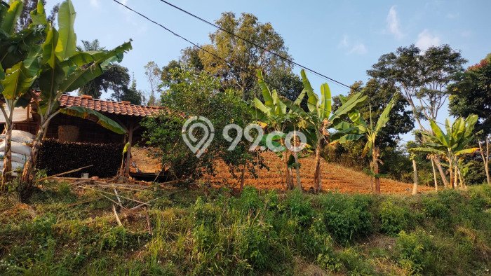 Lahan Dijual Lokasi Coblong, Bandung dengan Luas Tanah 1510m2 dan Status - Lahan Dijual Lokasi Coblong, Bandung dengan Luas Tanah 1510m2 dan Status -