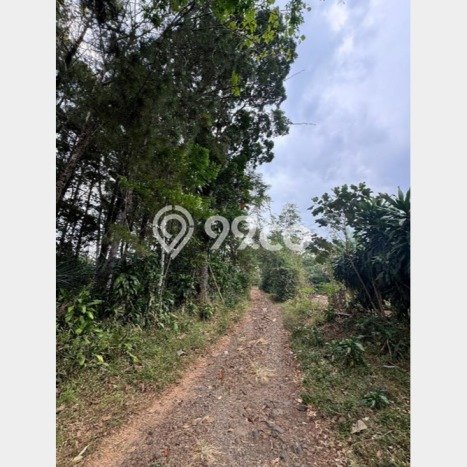 Tanah Investasi Dijual di Sukabumi Punya Luas 297870m2 Tanah Investasi Dijual di Sukabumi Punya Luas 297870m2
