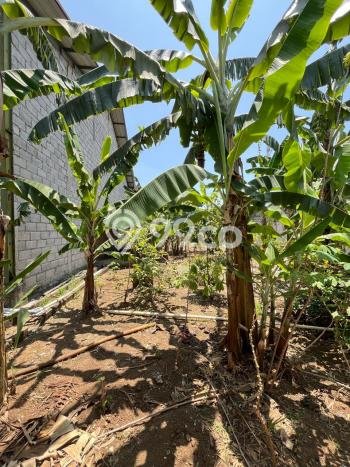 Dijual! Pabrik di Rancamanyar Bandung LT 6700m2 / LB 4200m2 Kawasan Strategis Dijual! Pabrik di Rancamanyar Bandung LT 6700m2 / LB 4200m2 Kawasan Strategis