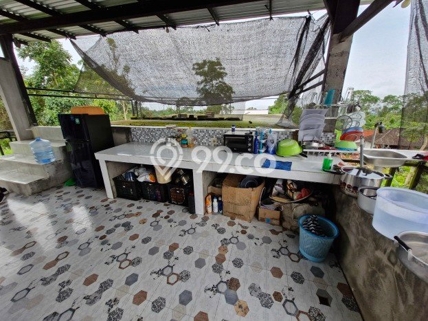 Tanah Dijual Lokasi Kintamani Bangli SHM Tanah Dijual Lokasi Kintamani Bangli SHM