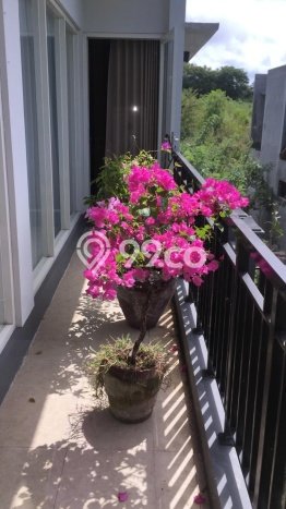 Rumah Strategis dengan 3 Kamar Tidur dan 2 Kamar Mandi di Area Uluwatu, Badung Rumah Strategis dengan 3 Kamar Tidur dan 2 Kamar Mandi di Area Uluwatu, Badung