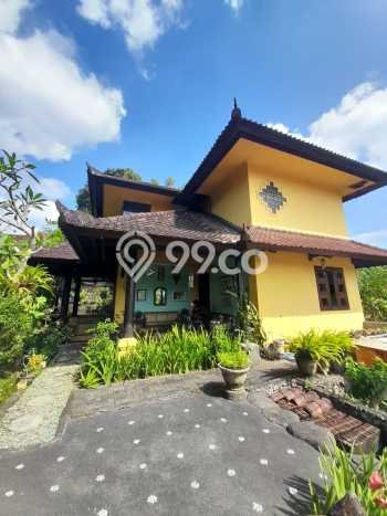 Rumah 3 KT 2 KM Dekat Rumah Sakit di Denpasar Utara, Denpasar Rumah 3 KT 2 KM Dekat Rumah Sakit di Denpasar Utara, Denpasar