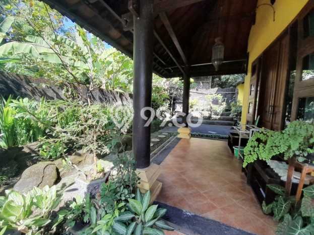 Rumah 3 KT 2 KM Dekat Rumah Sakit di Denpasar Utara, Denpasar Rumah 3 KT 2 KM Dekat Rumah Sakit di Denpasar Utara, Denpasar