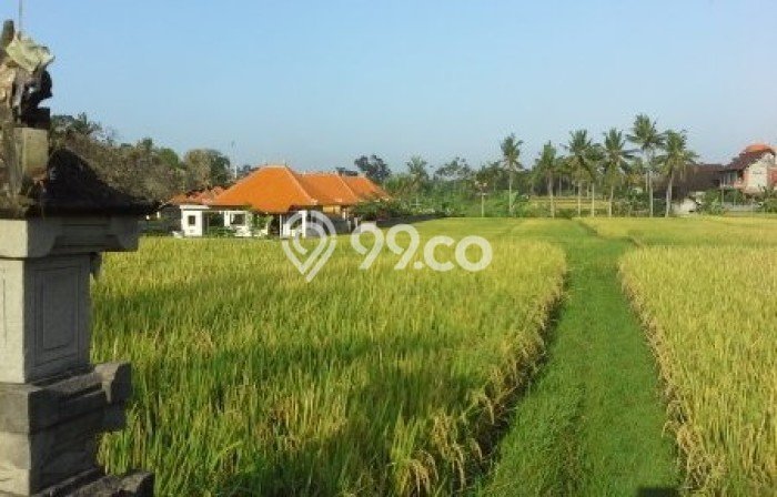 RENT NOW! Vila Premium Kawasan Ubud, Area 0m2m², Akses ke Ubud, Gianyar, Gianyar RENT NOW! Vila Premium Kawasan Ubud, Area 0m2m², Akses ke Ubud, Gianyar, Gianyar