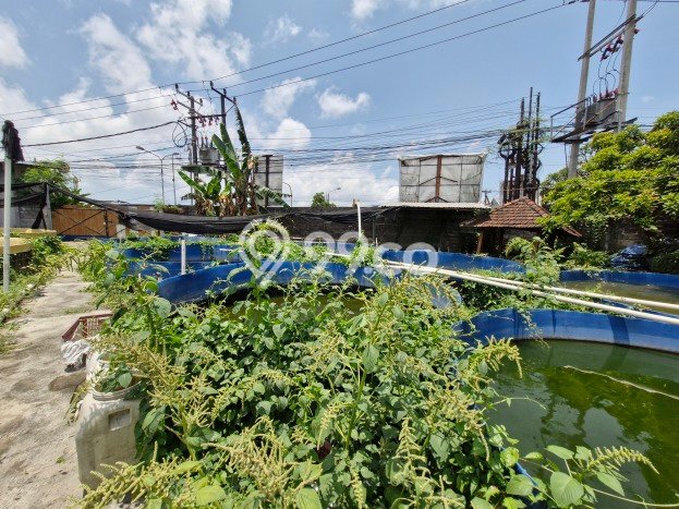 Tanah Area Berkembang Kawasan Denpasar Barat, Luas 625m², Akses ke Fasilitas Umum, Akses Denpasar Barat, Denpasar, Denpasar Tanah Area Berkembang Kawasan Denpasar Barat, Luas 625m², Akses ke Fasilitas Umum, Akses Denpasar Barat, Denpasar, Denpasar