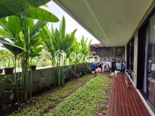 Rumah Luxury Modern Tanpa Renovasi di canggu Badung Rumah Luxury Modern Tanpa Renovasi di canggu Badung