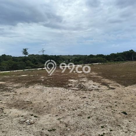 Tanah Investasi Dijual di Badung Punya Luas 375m2 Tanah Investasi Dijual di Badung Punya Luas 375m2