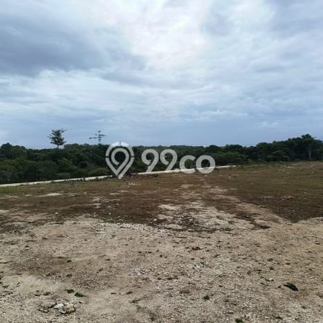 Tanah Investasi Dijual di Badung Punya Luas 375m2 Tanah Investasi Dijual di Badung Punya Luas 375m2