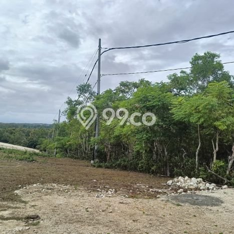 Tanah Investasi Dijual di Badung Punya Luas 375m2 Tanah Investasi Dijual di Badung Punya Luas 375m2