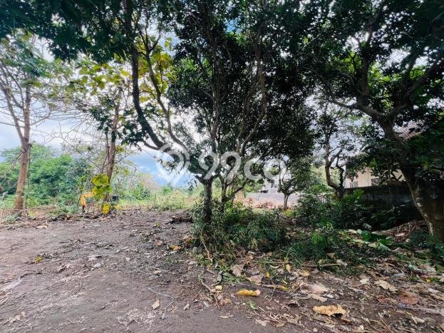 Dijual Tanah Lokasi Pecatu, Badung Seluas 212m2 Dijual Tanah Lokasi Pecatu, Badung Seluas 212m2