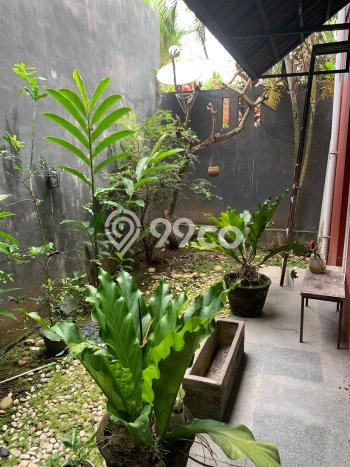 For Sale Hunian Rumah Terawat 5 KT di Kerobokan, Badung For Sale Hunian Rumah Terawat 5 KT di Kerobokan, Badung