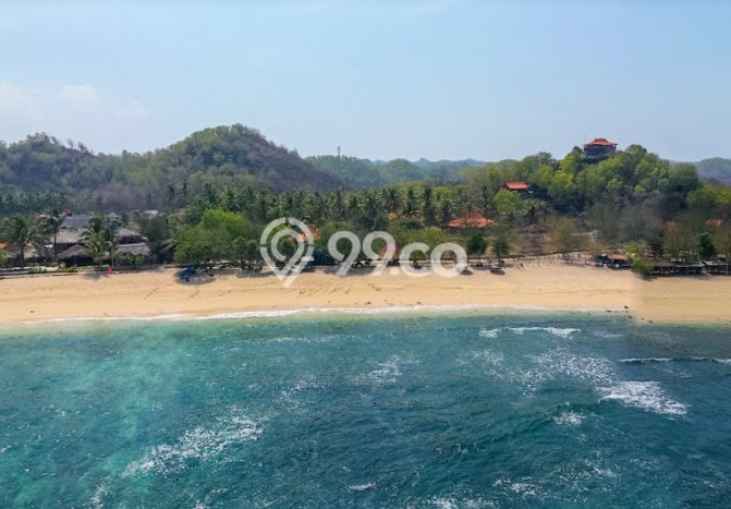 Tanah untuk Dijual Lokasi Pringkuku, Pacitan Luas 3124m2 SHM Tanah untuk Dijual Lokasi Pringkuku, Pacitan Luas 3124m2 SHM