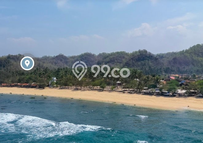 Tanah untuk Dijual Lokasi Pringkuku, Pacitan Luas 3124m2 SHM Tanah untuk Dijual Lokasi Pringkuku, Pacitan Luas 3124m2 SHM